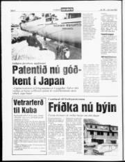 Síða 6