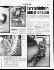 Síða 13