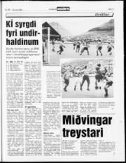 Síða 17