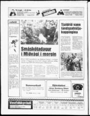 Síða 20