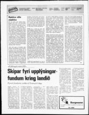 Síða 2
