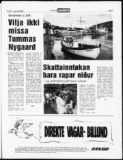 Síða 3