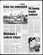 Síða 5