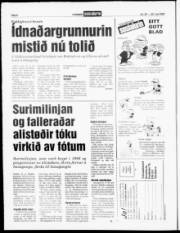 Síða 6