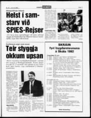 Síða 11
