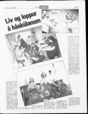 Síða 13