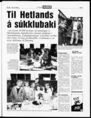 Síða 3
