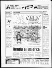 Síða 24