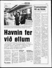Síða 3