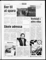 Síða 5