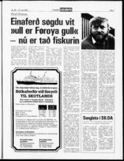 Síða 7