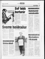 Síða 15