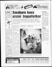 Síða 20