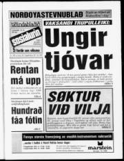 Síða 1