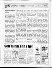 Síða 2