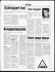 Síða 3