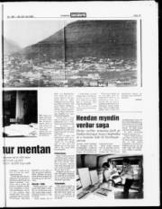 Síða 14