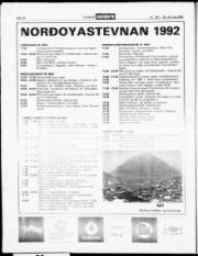 Síða 17