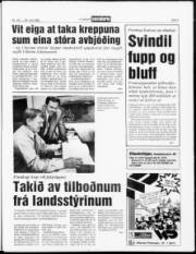 Síða 5