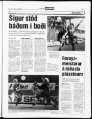Síða 13
