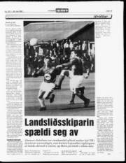 Síða 15