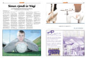 Síða 13