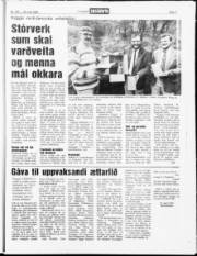 Síða 19