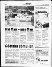 Síða 22