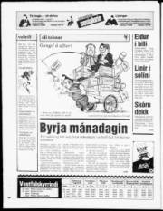 Síða 28