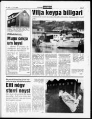 Síða 3