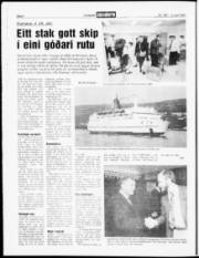 Síða 6