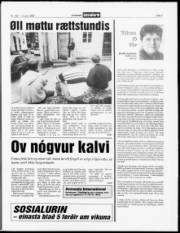 Síða 7