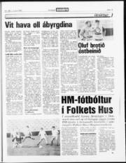 Síða 15