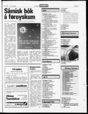 Síða 19