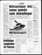 Síða 3