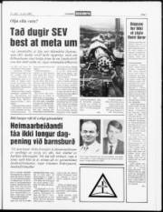 Síða 7
