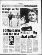 Síða 13