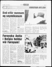 Síða 17