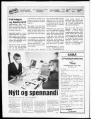 Síða 2