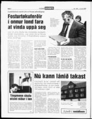 Síða 6
