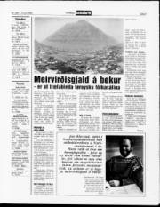 Síða 9
