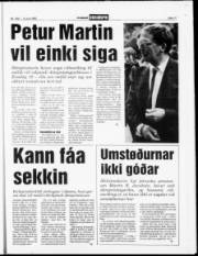 Síða 11
