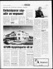 Síða 13
