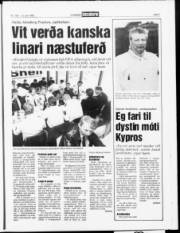 Síða 7