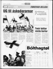 Síða 17