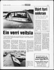 Síða 3