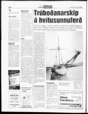 Síða 6