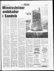 Síða 15