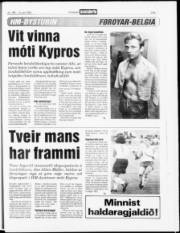 Síða 17