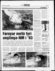 Síða 19